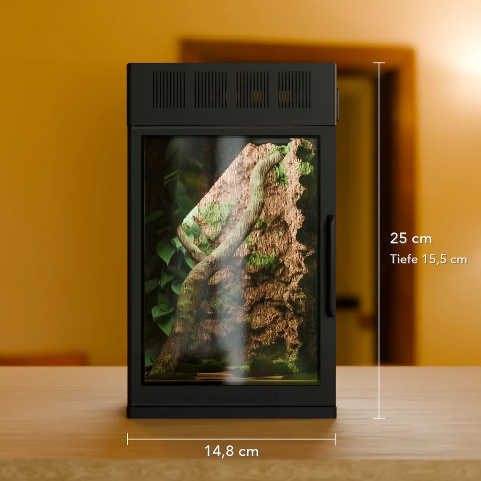 Springspinnen-Terrarium Atrium – auch als Starterset