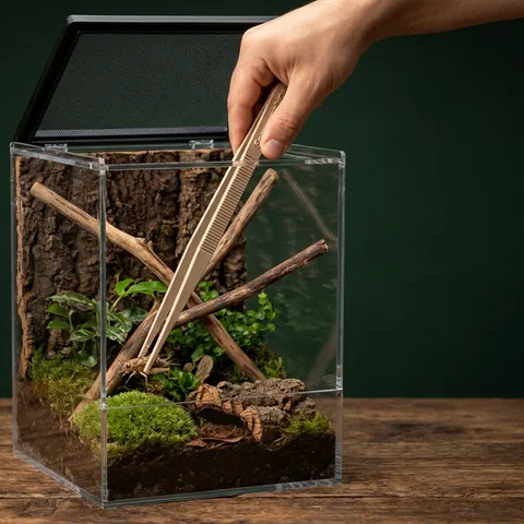 Pinzette für Springspinnen – 25 cm lang, mit Griffrillen