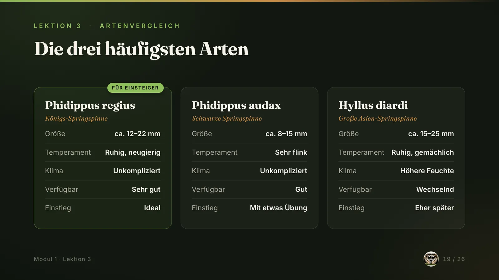 Kursfolie: Die drei häufigsten Arten im Vergleich