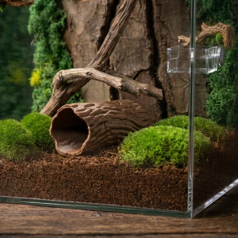 Versteck für Springspinnen – Röhre in Korkoptik